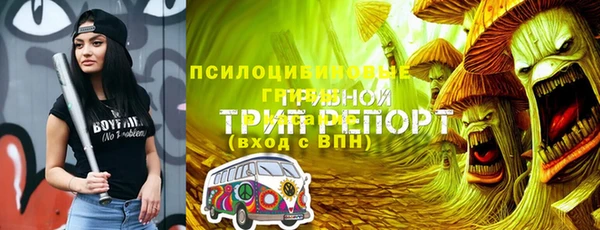 индика Балабаново