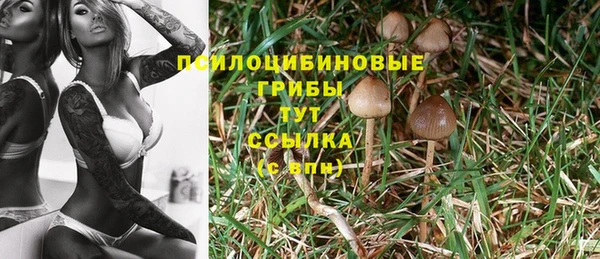 jwh Армянск